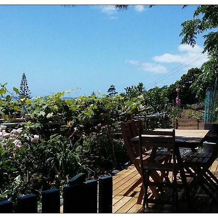 Casa Do Ze - Al Guest House Manadas Eksteriør bilde