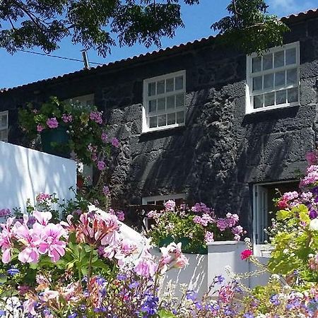 Casa Do Ze - Al Guest House Manadas Eksteriør bilde