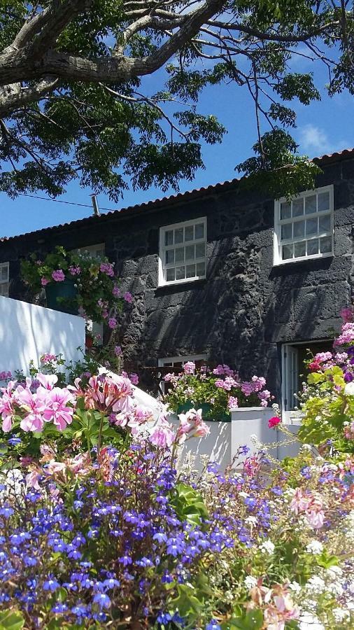 Casa Do Ze - Al Guest House Manadas Eksteriør bilde